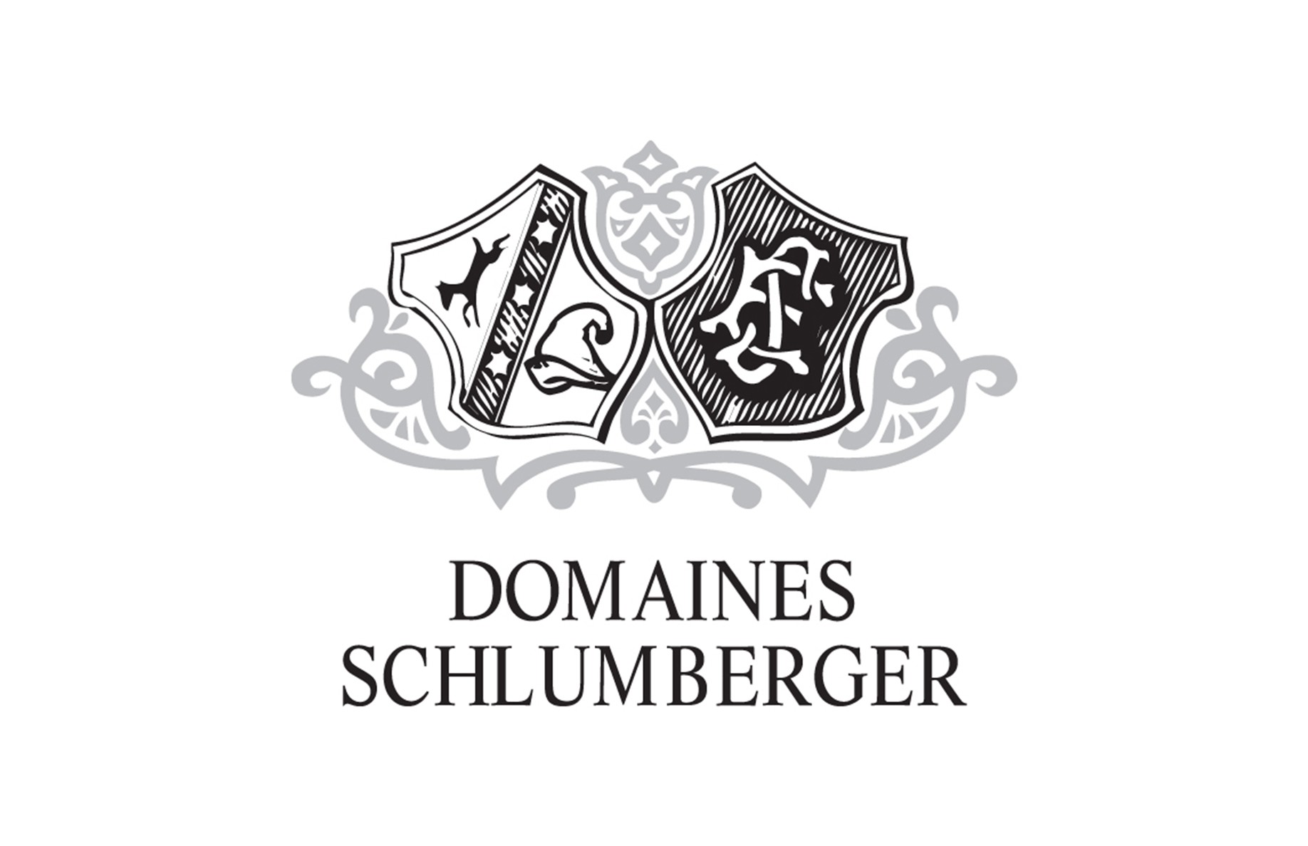 DOMAINES SCHLUMBERGER